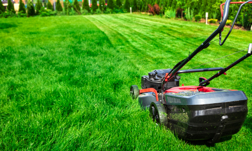 fleurieu lawn care