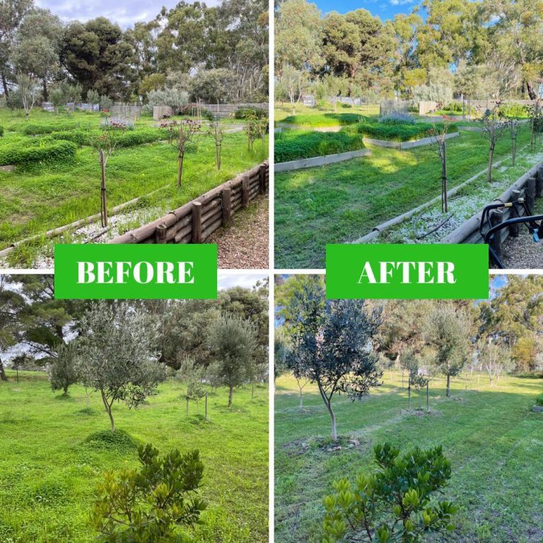 landscaping goolwa victor harbor